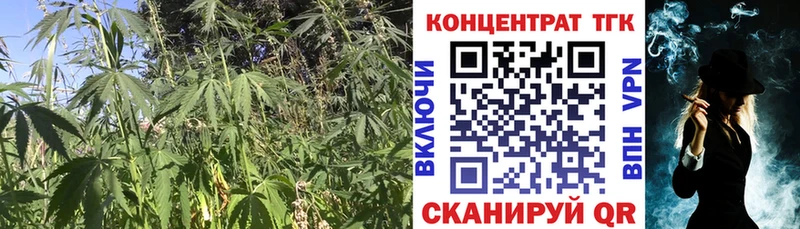 Купить где  Бородино  ТГК Wax 