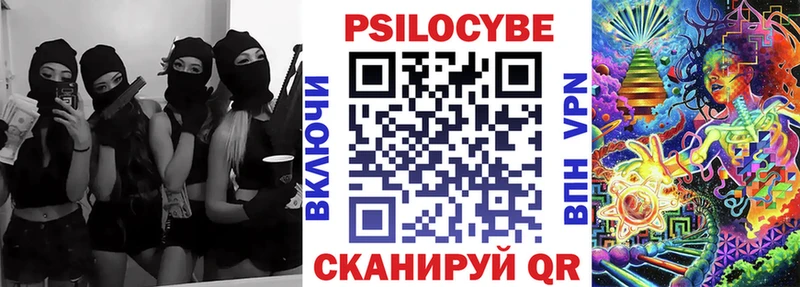 Купить  Бородино  Псилоцибиновые грибы MAGIC MUSHROOMS 